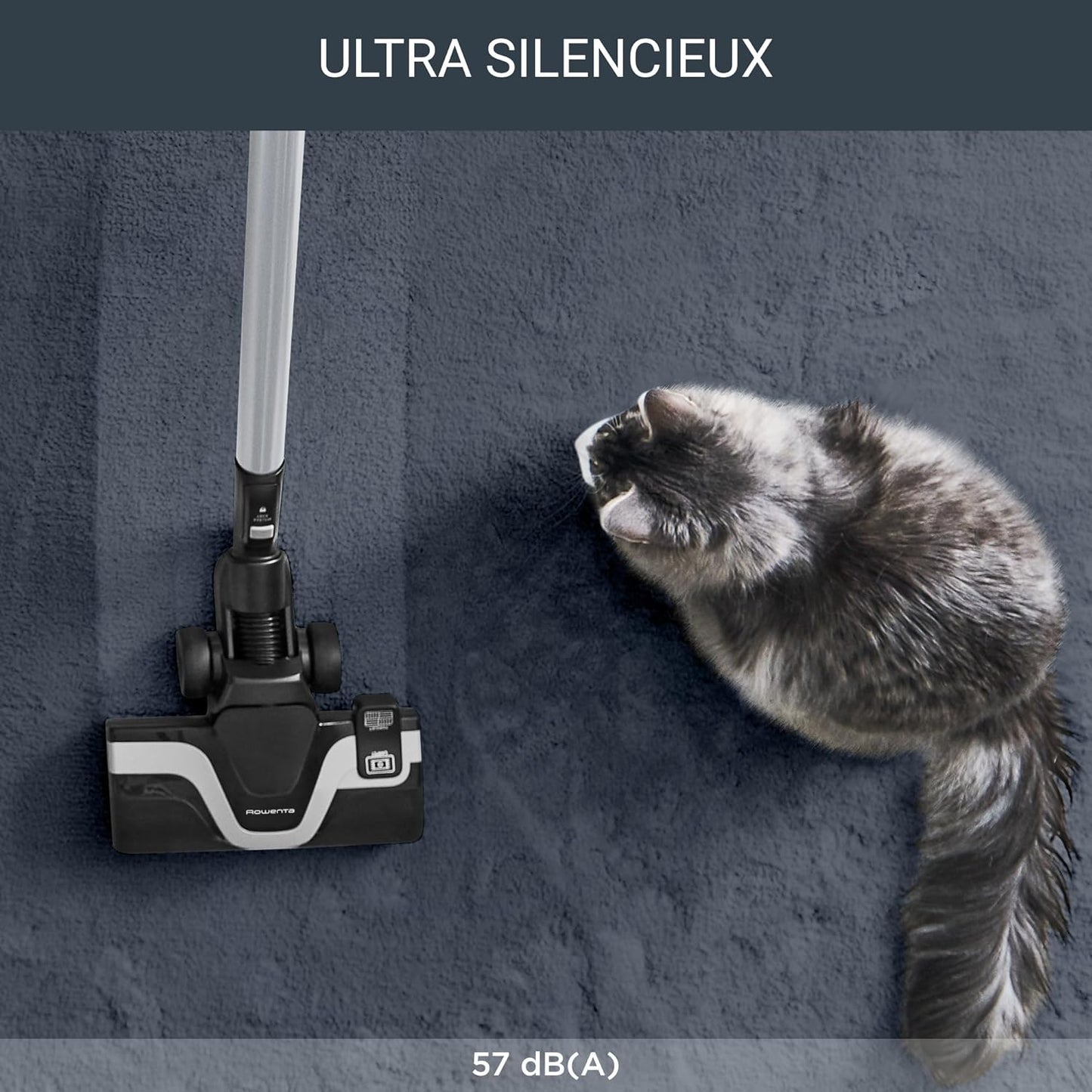 Rowenta Silence Force Effitech Aspirateur avec Sac, Basse Conso, Silencieux 57 DB(A), Filtration Haute efficacité, Rayon d'action 12 m, 4,5L RO7474EA, Rouge Tanin