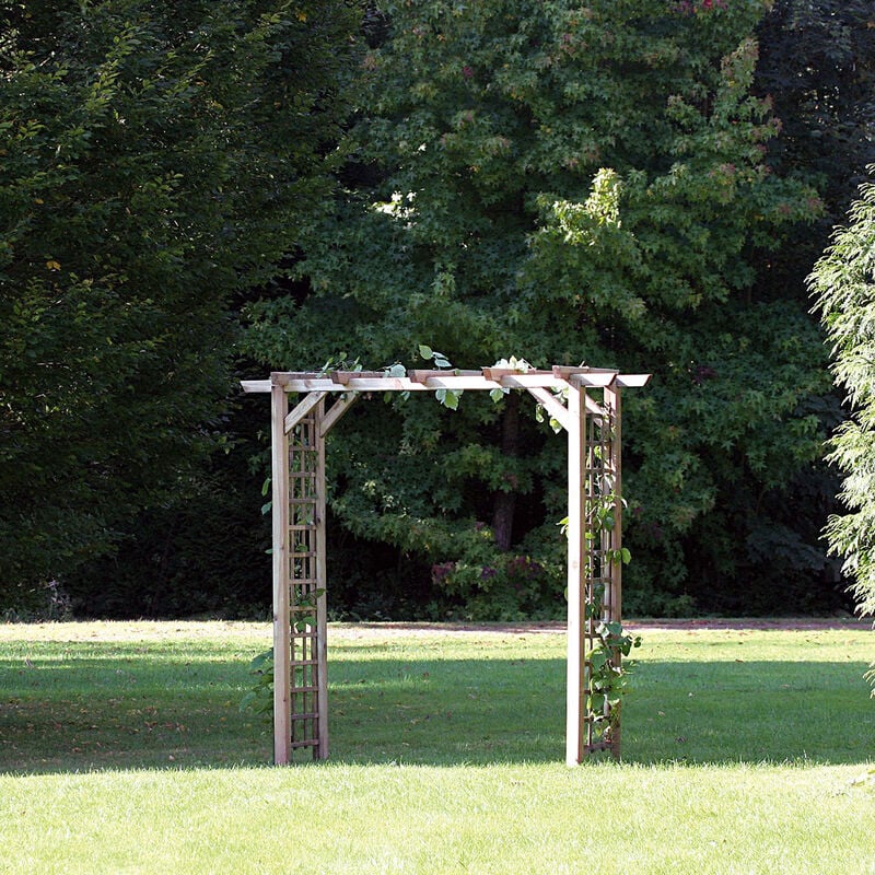 Arche jasmin droite + 4 supports poteaux à enfoncer